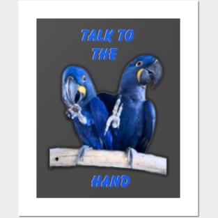 Hyacinth Macaw Talk To The Hand Posters and Art